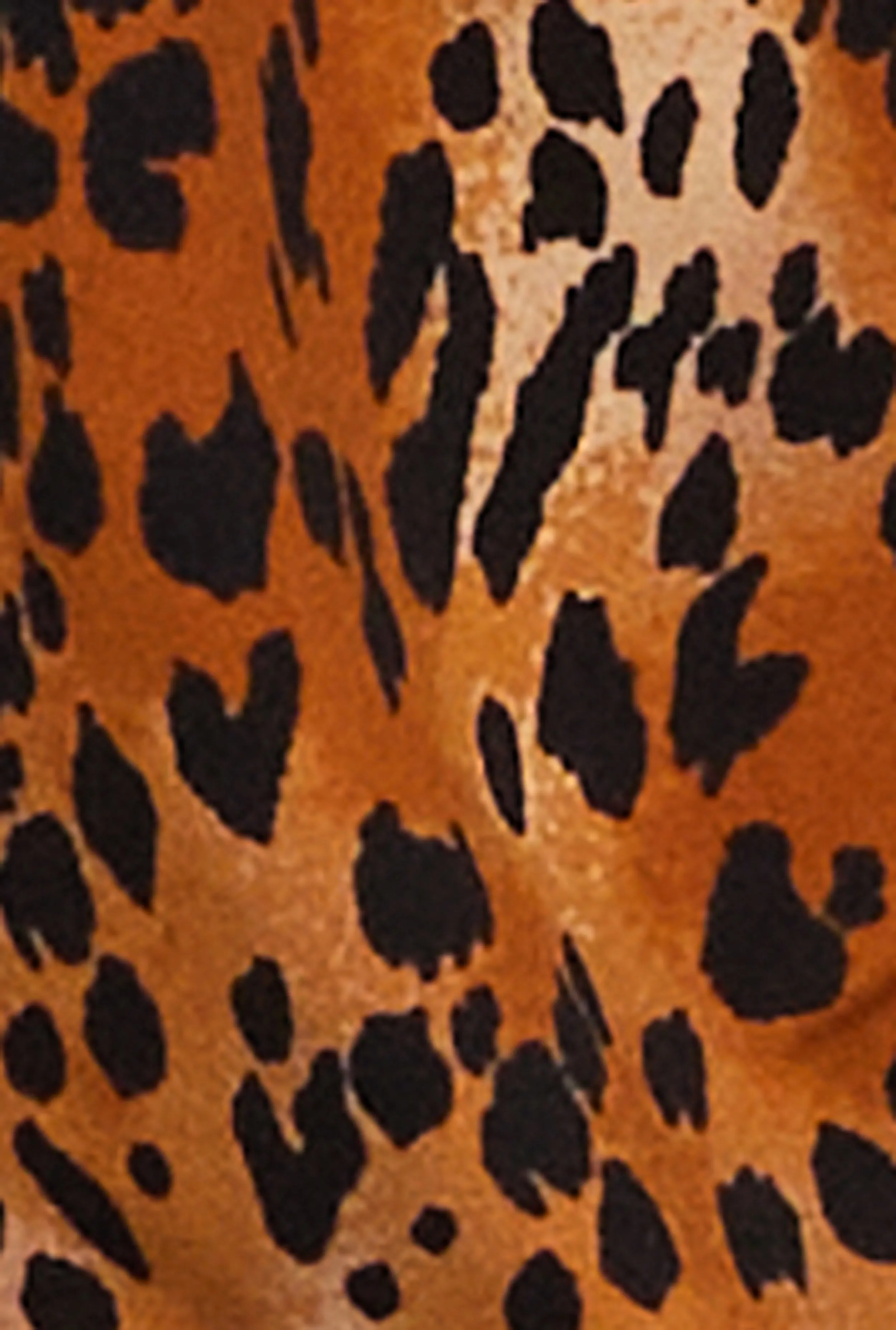 Animal Print Zip Front Jacket