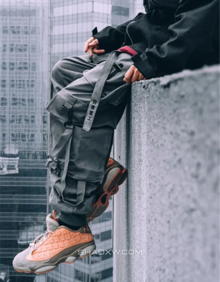 Harem Pants Techwear